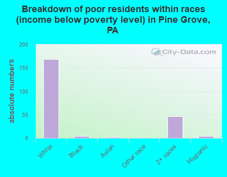 Breakdown of poor residents within races (income below poverty level) in Pine Grove, PA