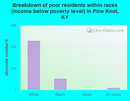 Breakdown of poor residents within races (income below poverty level) in Pine Knot, KY