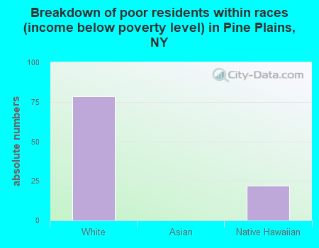 Breakdown of poor residents within races (income below poverty level) in Pine Plains, NY
