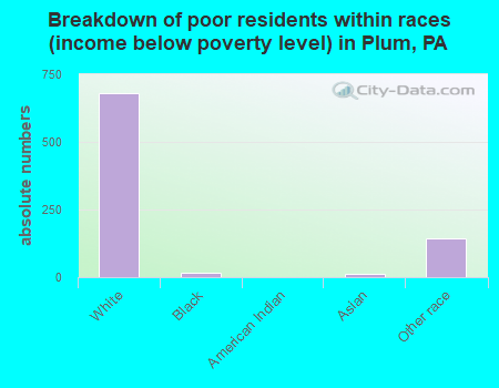 Breakdown of poor residents within races (income below poverty level) in Plum, PA