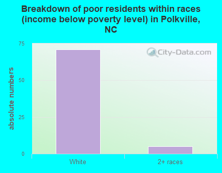 Breakdown of poor residents within races (income below poverty level) in Polkville, NC