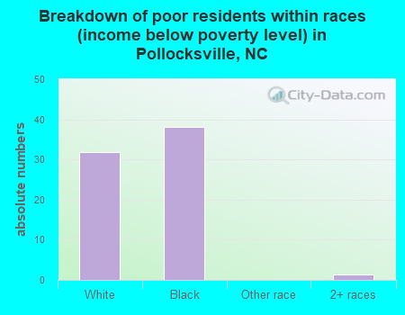 Breakdown of poor residents within races (income below poverty level) in Pollocksville, NC