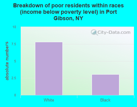 Breakdown of poor residents within races (income below poverty level) in Port Gibson, NY