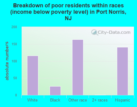 Breakdown of poor residents within races (income below poverty level) in Port Norris, NJ