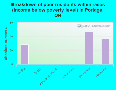 Breakdown of poor residents within races (income below poverty level) in Portage, OH