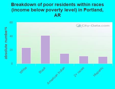 Breakdown of poor residents within races (income below poverty level) in Portland, AR