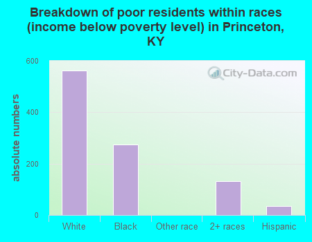 Breakdown of poor residents within races (income below poverty level) in Princeton, KY