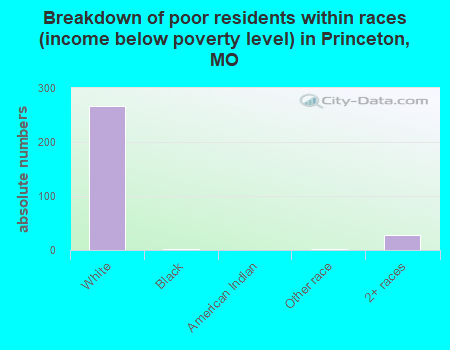 Breakdown of poor residents within races (income below poverty level) in Princeton, MO