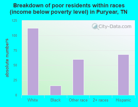 Breakdown of poor residents within races (income below poverty level) in Puryear, TN