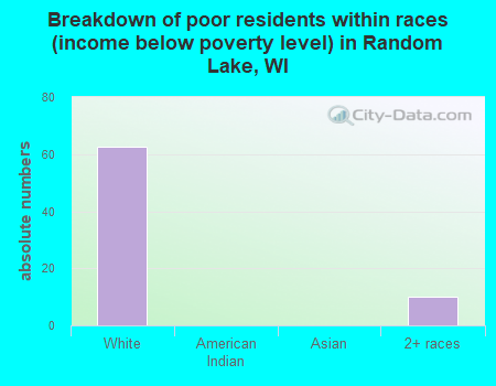 Breakdown of poor residents within races (income below poverty level) in Random Lake, WI