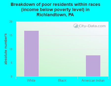 Breakdown of poor residents within races (income below poverty level) in Richlandtown, PA