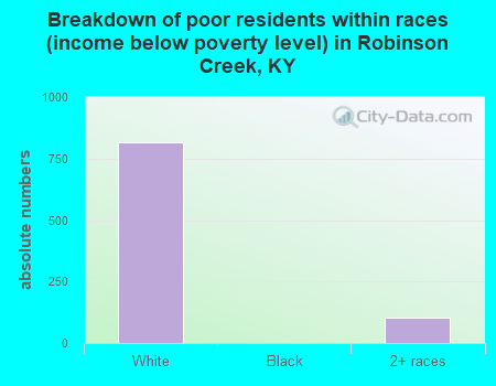 Breakdown of poor residents within races (income below poverty level) in Robinson Creek, KY