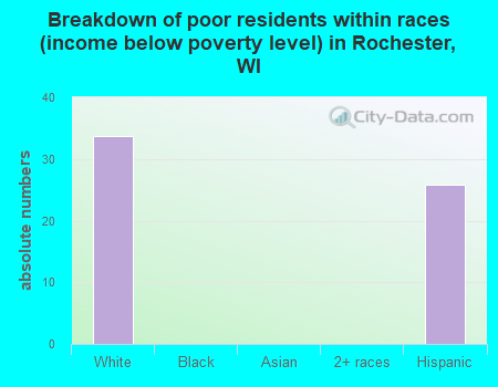 Breakdown of poor residents within races (income below poverty level) in Rochester, WI