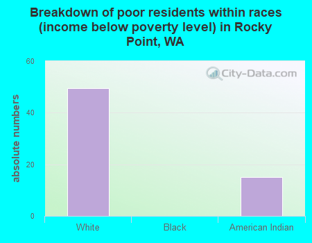 Breakdown of poor residents within races (income below poverty level) in Rocky Point, WA