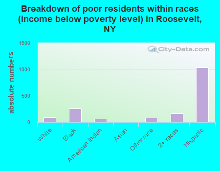 Breakdown of poor residents within races (income below poverty level) in Roosevelt, NY