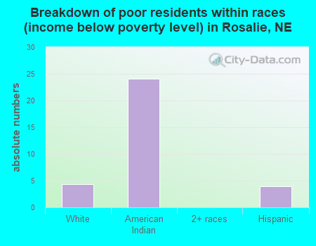 Breakdown of poor residents within races (income below poverty level) in Rosalie, NE