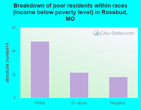 Breakdown of poor residents within races (income below poverty level) in Rosebud, MO