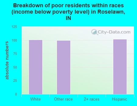 Breakdown of poor residents within races (income below poverty level) in Roselawn, IN