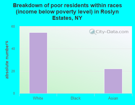 Breakdown of poor residents within races (income below poverty level) in Roslyn Estates, NY