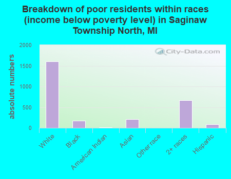 Breakdown of poor residents within races (income below poverty level) in Saginaw Township North, MI