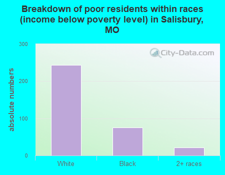 Breakdown of poor residents within races (income below poverty level) in Salisbury, MO