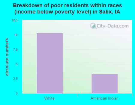 Breakdown of poor residents within races (income below poverty level) in Salix, IA