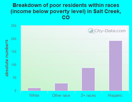Breakdown of poor residents within races (income below poverty level) in Salt Creek, CO