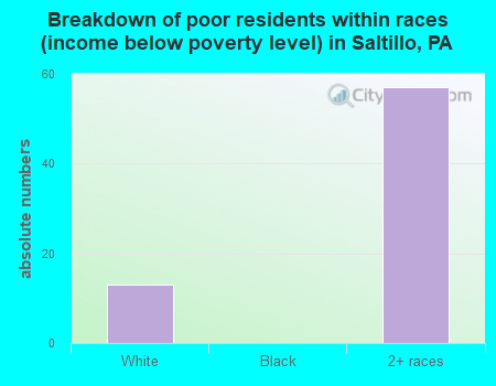 Breakdown of poor residents within races (income below poverty level) in Saltillo, PA