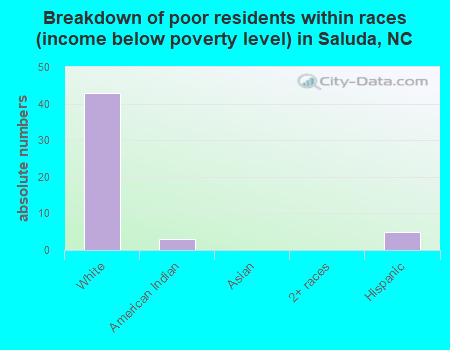 Breakdown of poor residents within races (income below poverty level) in Saluda, NC