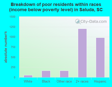 Breakdown of poor residents within races (income below poverty level) in Saluda, SC