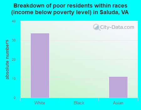 Breakdown of poor residents within races (income below poverty level) in Saluda, VA