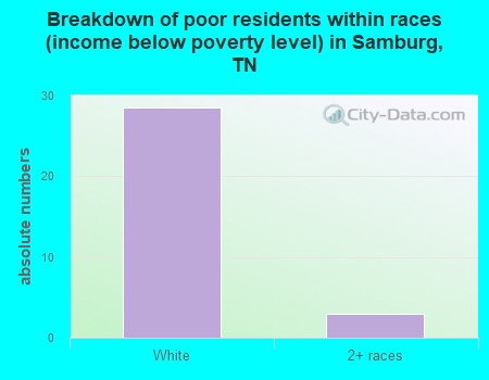 Breakdown of poor residents within races (income below poverty level) in Samburg, TN
