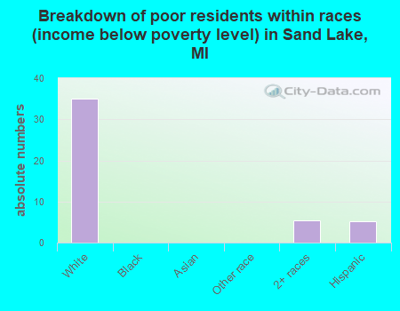 Breakdown of poor residents within races (income below poverty level) in Sand Lake, MI