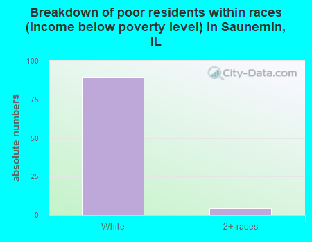Breakdown of poor residents within races (income below poverty level) in Saunemin, IL
