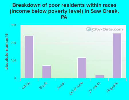 Breakdown of poor residents within races (income below poverty level) in Saw Creek, PA