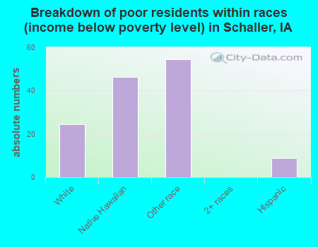 Breakdown of poor residents within races (income below poverty level) in Schaller, IA