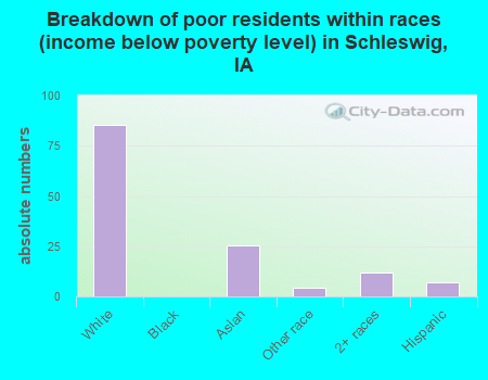 Breakdown of poor residents within races (income below poverty level) in Schleswig, IA
