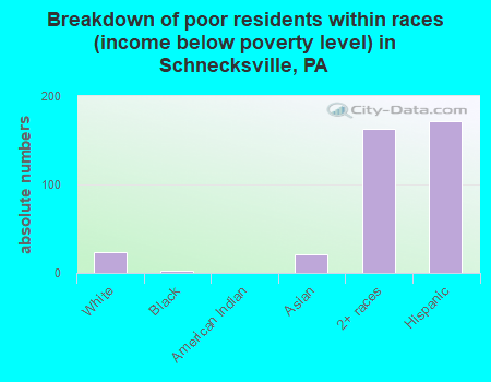 Breakdown of poor residents within races (income below poverty level) in Schnecksville, PA