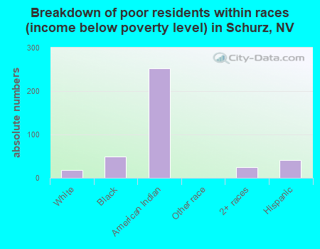Breakdown of poor residents within races (income below poverty level) in Schurz, NV