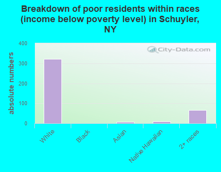 Breakdown of poor residents within races (income below poverty level) in Schuyler, NY