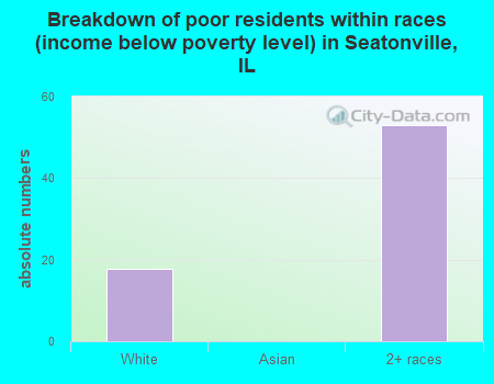 Breakdown of poor residents within races (income below poverty level) in Seatonville, IL