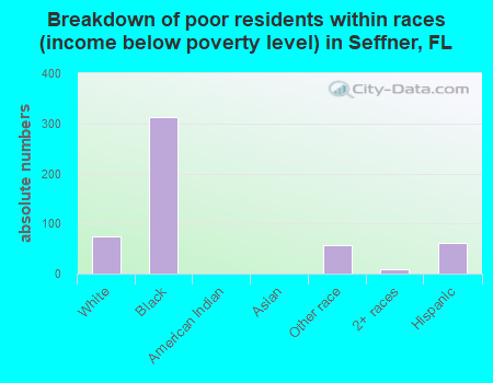 Breakdown of poor residents within races (income below poverty level) in Seffner, FL