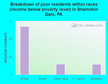 Breakdown of poor residents within races (income below poverty level) in Shamokin Dam, PA