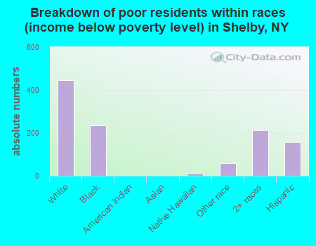 Breakdown of poor residents within races (income below poverty level) in Shelby, NY