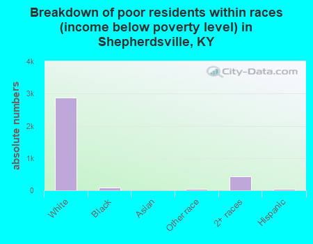 Breakdown of poor residents within races (income below poverty level) in Shepherdsville, KY