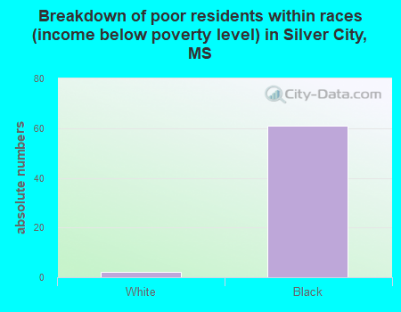 Breakdown of poor residents within races (income below poverty level) in Silver City, MS