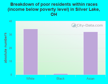 Breakdown of poor residents within races (income below poverty level) in Silver Lake, OH