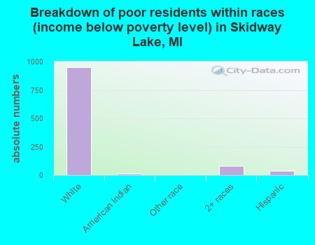 Breakdown of poor residents within races (income below poverty level) in Skidway Lake, MI