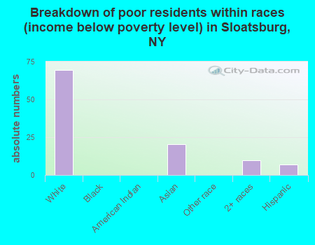 Breakdown of poor residents within races (income below poverty level) in Sloatsburg, NY