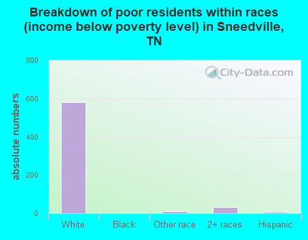 Breakdown of poor residents within races (income below poverty level) in Sneedville, TN